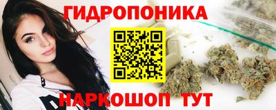 индика Нарткала