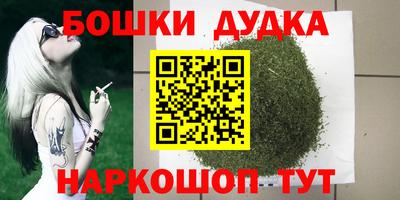 индика Нарткала