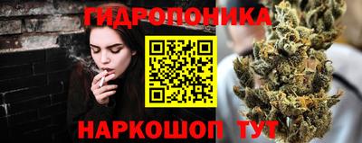 индика Нарткала